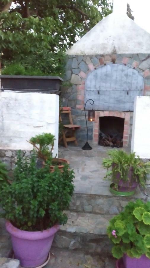 Irini House Βίλα Αρμένοι Εξωτερικό φωτογραφία